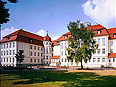 Liceum Carolinum, Nesterlitz