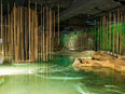 Dom klimatu 8 Ost w Bremerhaven 