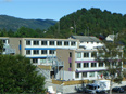 Akademiki studenckie w Alesund - Norwegia 